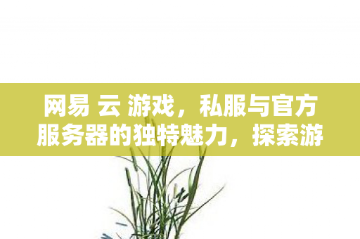网易 云 游戏,私服与官方服务器的独特魅力,探索游戏世界的不同维度 网易 云 游戏,私服与官方服务器的独特魅力,探索游戏世界的不同维度
