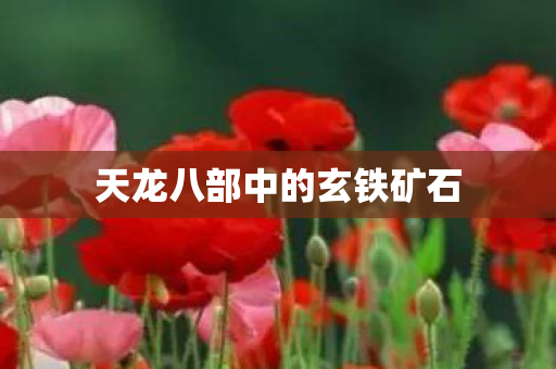 天龙八部中的玄铁矿石 天龙八部中的玄铁矿石