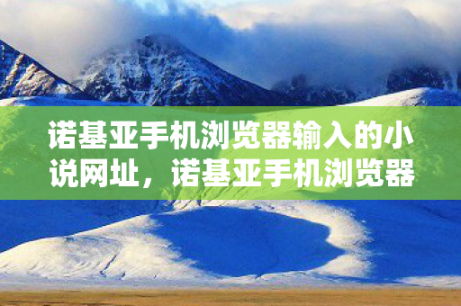 诺基亚手机浏览器输入的小说网址，诺基亚手机浏览器，经典再现，重塑移动上网体验