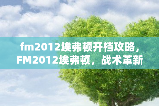 fm2012埃弗顿开档攻略,FM2012埃弗顿,战术革新与阵容调整的赛季展望 fm2012埃弗顿开档攻略,FM2012埃弗顿,战术革新与阵容调整的赛季展望