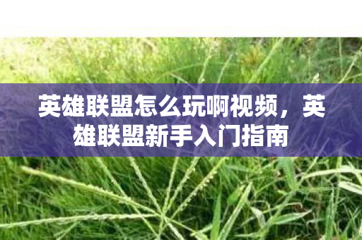 英雄联盟怎么玩啊视频,英雄联盟新手入门指南 英雄联盟怎么玩啊视频,英雄联盟新手入门指南