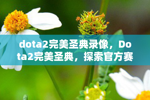 dota2完美圣典录像,Dota2完美圣典,探索官方赛事的无限可能 dota2完美圣典录像,Dota2完美圣典,探索官方赛事的无限可能