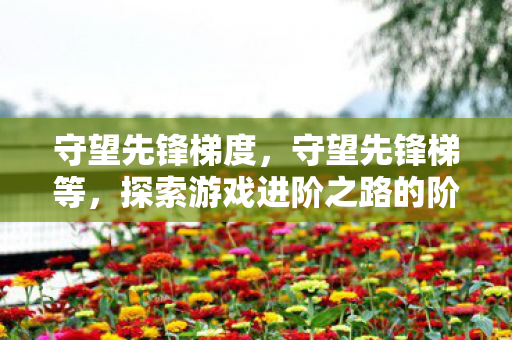 守望先锋梯度,守望先锋梯等,探索游戏进阶之路的阶梯 守望先锋梯度,守望先锋梯等,探索游戏进阶之路的阶梯