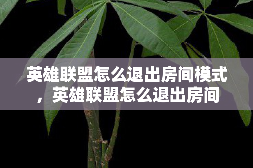 英雄联盟怎么退出房间模式,英雄联盟怎么退出房间 英雄联盟怎么退出房间模式,英雄联盟怎么退出房间