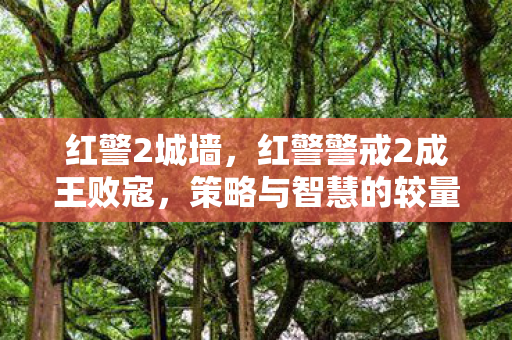 红警2城墙,红警警戒2成王败寇,策略与智慧的较量 红警2城墙,红警警戒2成王败寇,策略与智慧的较量