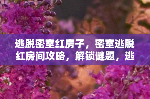 逃脱密室红房子,密室逃脱红房间攻略,解锁谜题,逃出神秘红房间 逃脱密室红房子,密室逃脱红房间攻略,解锁谜题,逃出神秘红房间