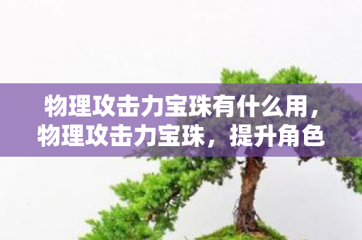 物理攻击力宝珠有什么用，物理攻击力宝珠，提升角色战斗力的关键