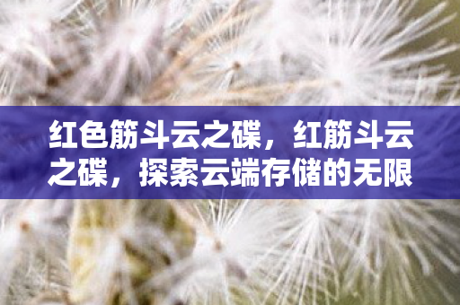 红色筋斗云之碟，红筋斗云之碟，探索云端存储的无限可能
