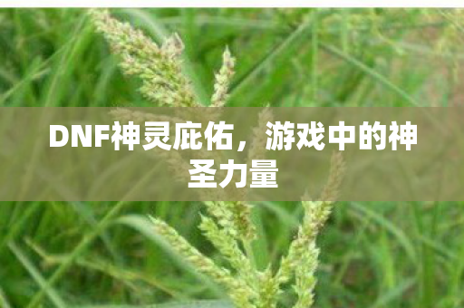 DNF神灵庇佑,游戏中的神圣力量 DNF神灵庇佑,游戏中的神圣力量