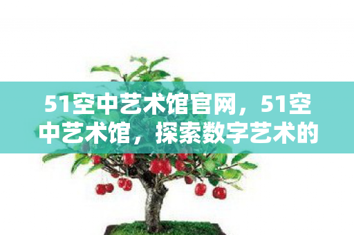 51空中艺术馆官网,51空中艺术馆,探索数字艺术的无限可能 51空中艺术馆官网,51空中艺术馆,探索数字艺术的无限可能