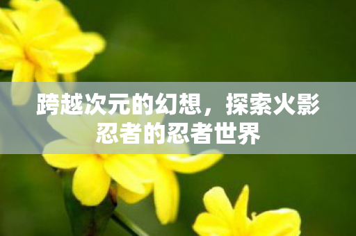 跨越次元的幻想,探索火影忍者的忍者世界 跨越次元的幻想,探索火影忍者的忍者世界