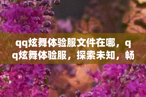 qq炫舞体验服文件在哪,qq炫舞体验服,探索未知,畅享游戏新体验 qq炫舞体验服文件在哪,qq炫舞体验服,探索未知,畅享游戏新体验