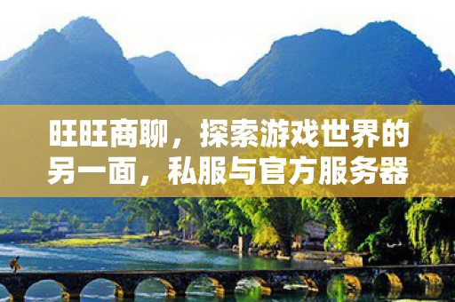 旺旺商聊,探索游戏世界的另一面,私服与官方服务器的独特魅力 旺旺商聊,探索游戏世界的另一面,私服与官方服务器的独特魅力
