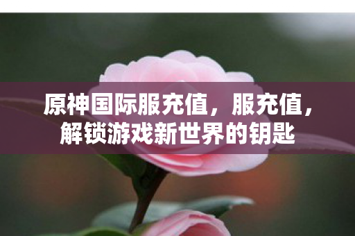 原神国际服充值,服充值,解锁游戏新世界的钥匙 原神国际服充值,服充值,解锁游戏新世界的钥匙