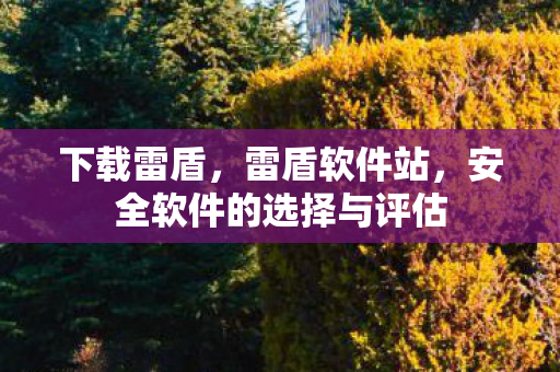 下载雷盾,雷盾软件站,安全软件的选择与评估 下载雷盾,雷盾软件站,安全软件的选择与评估