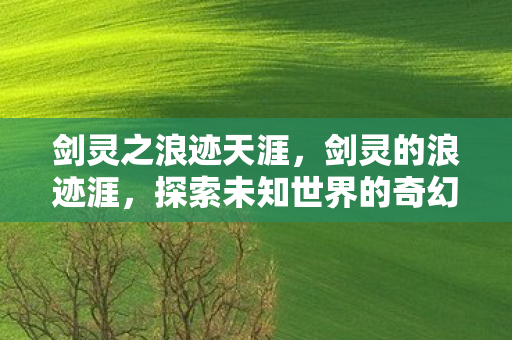 剑灵之浪迹天涯,剑灵的浪迹涯,探索未知世界的奇幻之旅 剑灵之浪迹天涯,剑灵的浪迹涯,探索未知世界的奇幻之旅