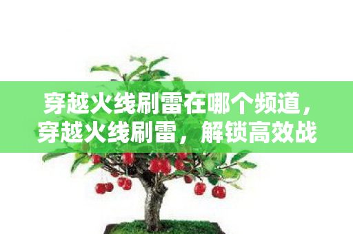 穿越火线刷雷在哪个频道,穿越火线刷雷,解锁高效战术,提升游戏乐趣 穿越火线刷雷在哪个频道,穿越火线刷雷,解锁高效战术,提升游戏乐趣