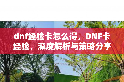 dnf经验卡怎么得,DNF卡经验,深度解析与策略分享 dnf经验卡怎么得,DNF卡经验,深度解析与策略分享