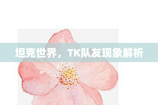 坦克世界,TK队友现象解析 坦克世界,TK队友现象解析