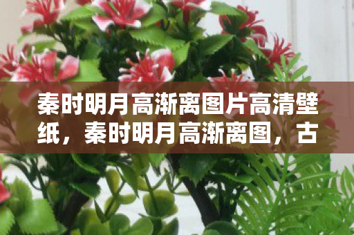 秦时明月高渐离图片高清壁纸，秦时明月高渐离图，古风雅韵中的琴音悠扬