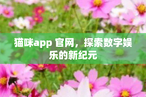 猫咪app 官网,探索数字娱乐的新纪元 猫咪app 官网,探索数字娱乐的新纪元