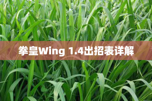 拳皇Wing 1.4出招表详解 拳皇Wing 1.4出招表详解