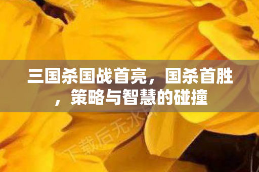三国杀国战首亮,国杀首胜,策略与智慧的碰撞 三国杀国战首亮,国杀首胜,策略与智慧的碰撞