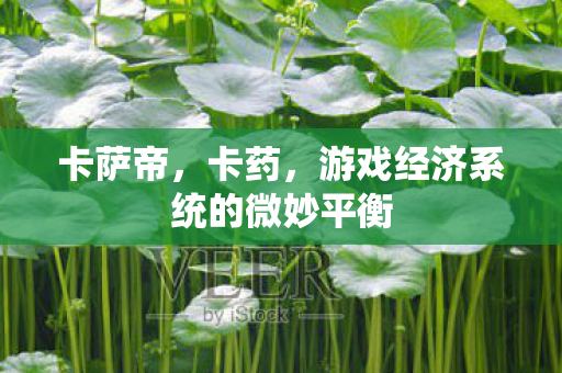 卡萨帝,卡药,游戏经济系统的微妙平衡 卡萨帝,卡药,游戏经济系统的微妙平衡