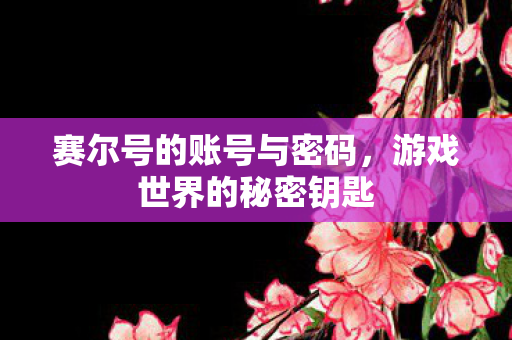 赛尔号的账号与密码,游戏世界的秘密钥匙 赛尔号的账号与密码,游戏世界的秘密钥匙