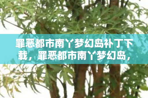 罪恶都市南丫梦幻岛补丁下载,罪恶都市南丫梦幻岛,探寻隐藏于都市中的神秘岛屿 罪恶都市南丫梦幻岛补丁下载,罪恶都市南丫梦幻岛,探寻隐藏于都市中的神秘岛屿