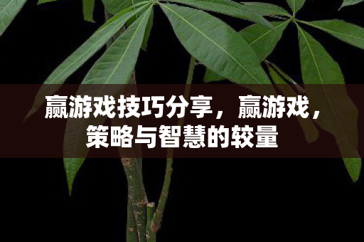 赢游戏技巧分享,赢游戏,策略与智慧的较量 赢游戏技巧分享,赢游戏,策略与智慧的较量