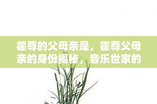 霍尊的父母亲是,霍尊父母亲的身份揭秘,音乐世家的传承与影响 霍尊的父母亲是,霍尊父母亲的身份揭秘,音乐世家的传承与影响