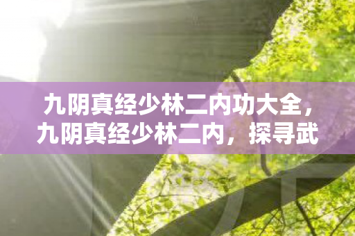 九阴真经少林二内功大全,九阴真经少林二内,探寻武林的奥秘 九阴真经少林二内功大全,九阴真经少林二内,探寻武林的奥秘