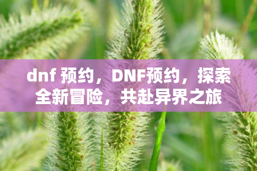 dnf 预约,DNF预约,探索全新冒险,共赴异界之旅 dnf 预约,DNF预约,探索全新冒险,共赴异界之旅