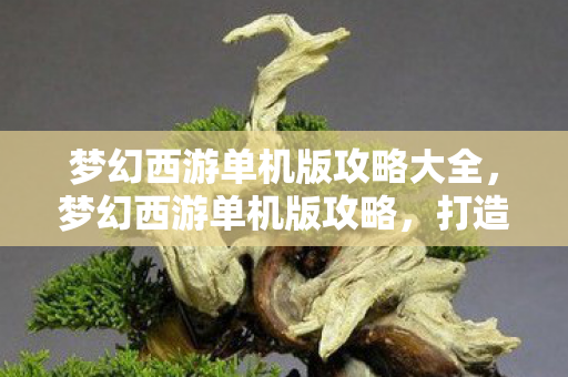 梦幻西游单机版攻略大全,梦幻西游单机版攻略,打造最强角色,畅游西游世界 梦幻西游单机版攻略大全,梦幻西游单机版攻略,打造最强角色,畅游西游世界