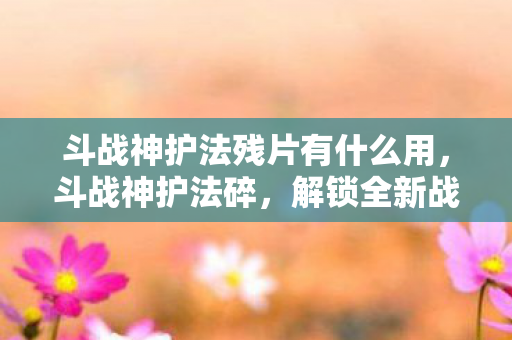 斗战神护法残片有什么用,斗战神护法碎,解锁全新战斗体验 斗战神护法残片有什么用,斗战神护法碎,解锁全新战斗体验