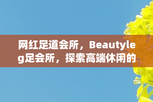 网红足道会所,Beautyleg足会所,探索高端休闲的新境界 网红足道会所,Beautyleg足会所,探索高端休闲的新境界