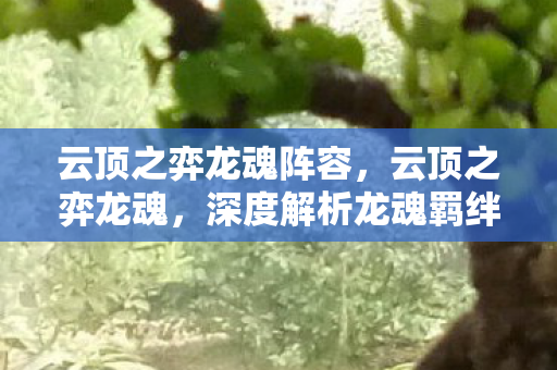 云顶之弈龙魂阵容,云顶之弈龙魂,深度解析龙魂羁绊的奥秘 云顶之弈龙魂阵容,云顶之弈龙魂,深度解析龙魂羁绊的奥秘