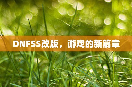 DNFSS改版，游戏的新篇章