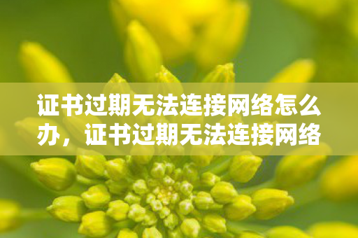 证书过期无法连接网络怎么办，证书过期无法连接网络，保障网络安全，从证书管理开始