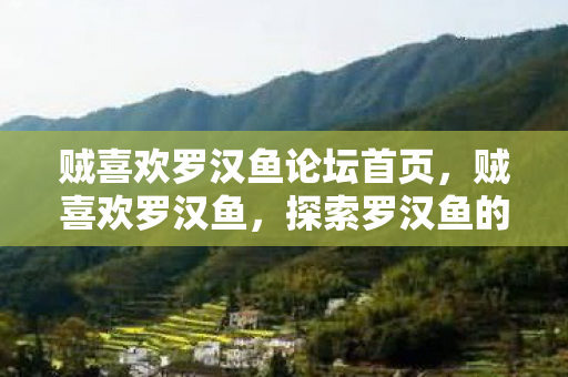 贼喜欢罗汉鱼论坛首页,贼喜欢罗汉鱼,探索罗汉鱼的魅力与养殖秘籍 贼喜欢罗汉鱼论坛首页,贼喜欢罗汉鱼,探索罗汉鱼的魅力与养殖秘籍