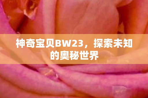 神奇宝贝BW23，探索未知的奥秘世界