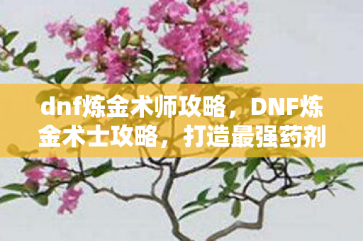 dnf炼金术师攻略,DNF炼金术士攻略,打造最强药剂师之路 dnf炼金术师攻略,DNF炼金术士攻略,打造最强药剂师之路