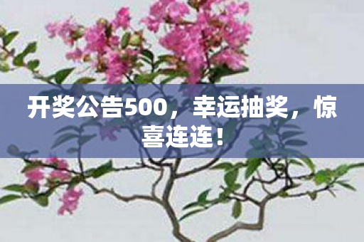开奖公告500,幸运抽奖,惊喜连连! 开奖公告500,幸运抽奖,惊喜连连!