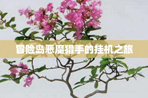 冒险岛恶魔猎手的挂机之旅