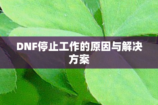 DNF停止工作的原因与解决方案 DNF停止工作的原因与解决方案