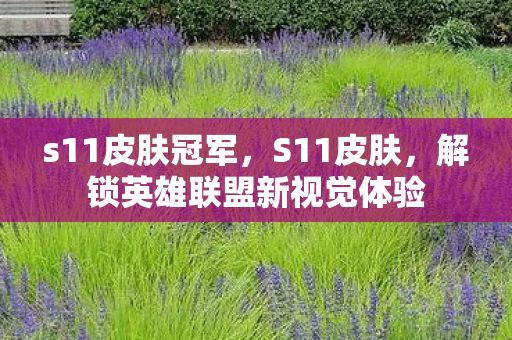 s11皮肤冠军,S11皮肤,解锁英雄联盟新视觉体验 s11皮肤冠军,S11皮肤,解锁英雄联盟新视觉体验