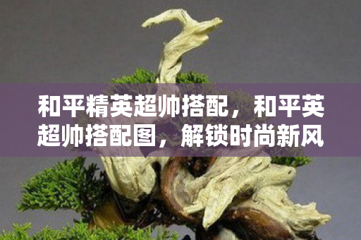 和平精英超帅搭配,和平英超帅搭配图,解锁时尚新风尚 和平精英超帅搭配,和平英超帅搭配图,解锁时尚新风尚