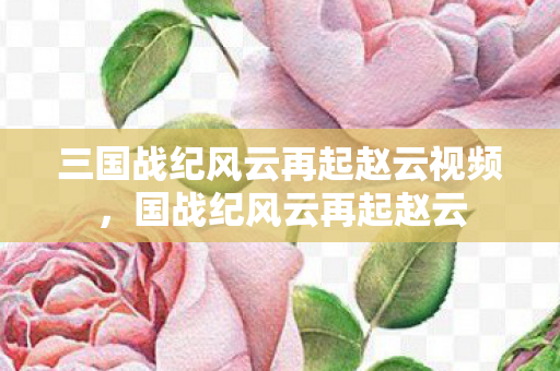 三国战纪风云再起赵云视频，国战纪风云再起赵云