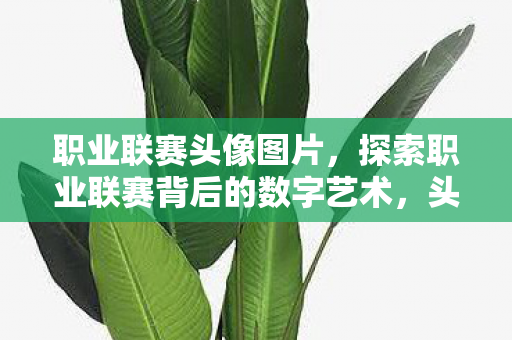 职业联赛头像图片，探索职业联赛背后的数字艺术，头像的演变与意义